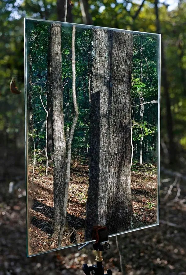 Abelardo Morell, Mirror in the Woods, From Picturing the South, 2013