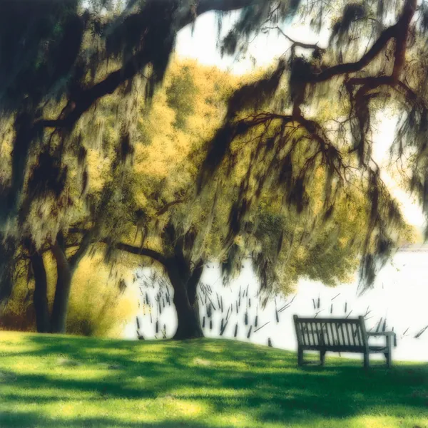 Lynn Geesaman, Jefferson Island, Louisiana, (3-00-4c-5), 2000