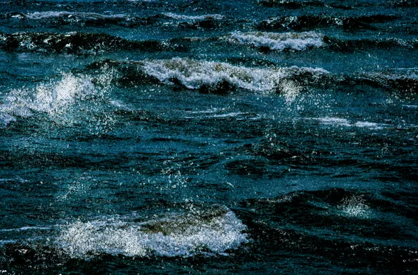 Amy Friend, Endothelium waves