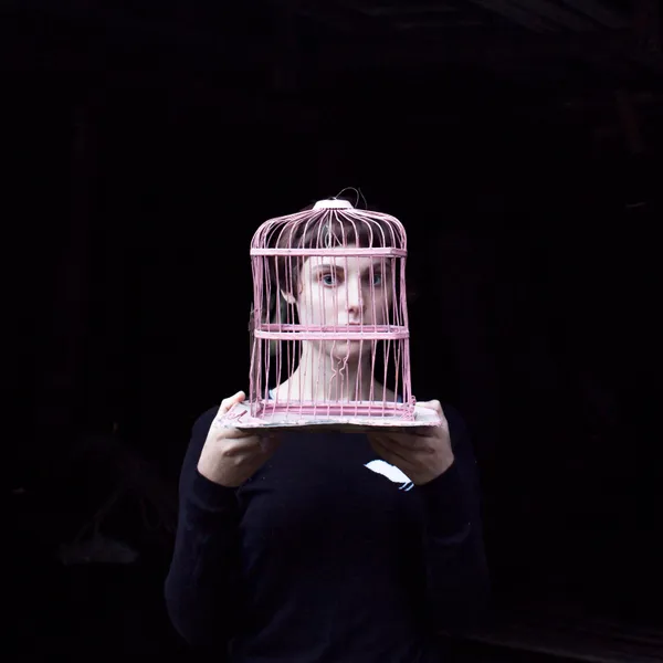 Cig Harvey, Birdcage, Sadie, Tenants Harbor, Maine, 2013