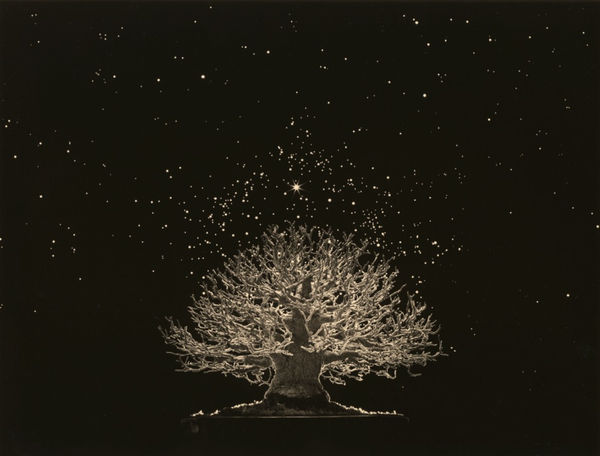 Yamamoto Masao, Bonsai #4009, 2018