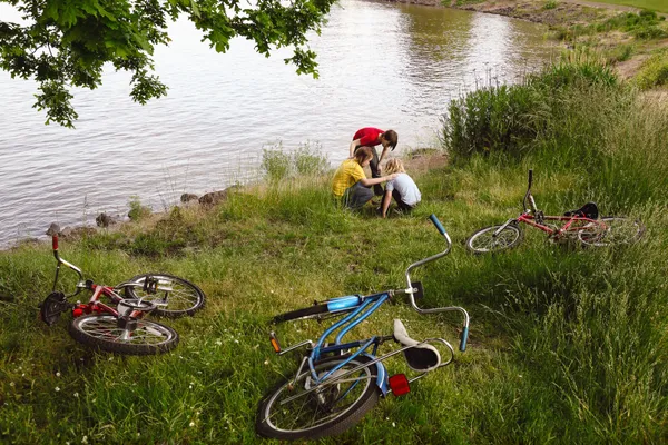 Holly Andres, Squirrel Funeral, from Fieldcrest Drive, 2010