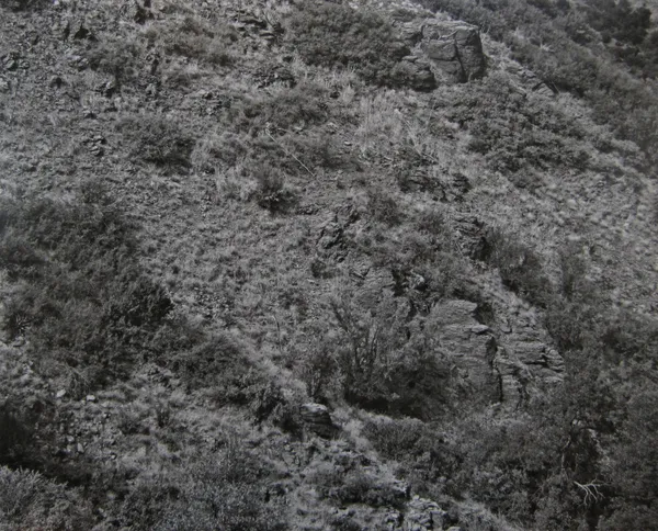 Frederick Sommer, Arizona Landscape (Blood Basin), 1943