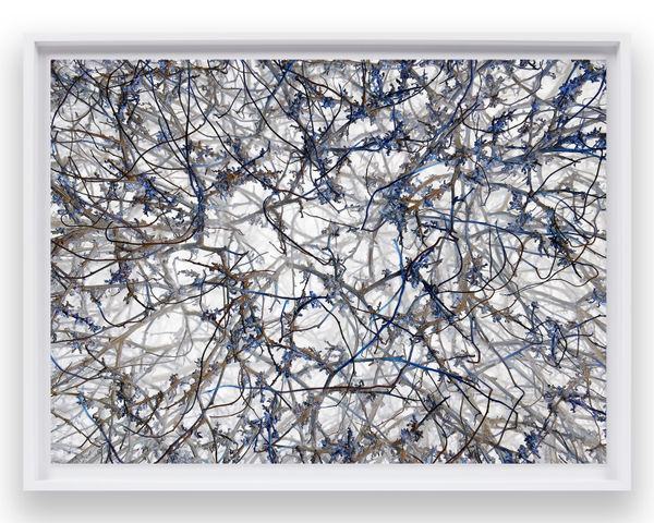 Richard Misrach IPS #7386 (Scrub #58), 2014