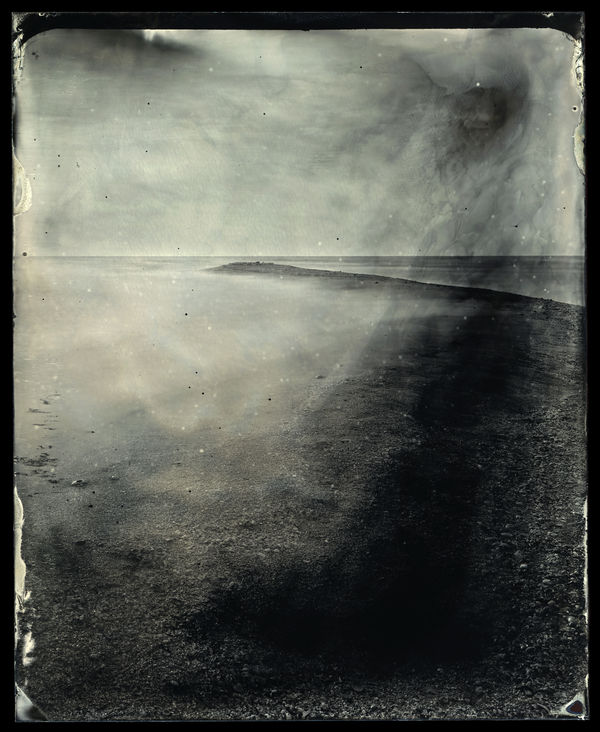 Charlie McCullers & Cecilia Montalvo, Barrier Island, Study 43, 2018