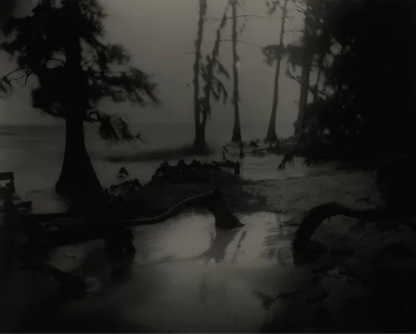 Sally Mann, Deep South, Untitled (Bones II), 1998