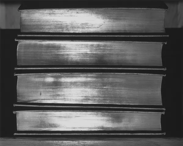 Abelardo Morell, Shiny Books, 2000