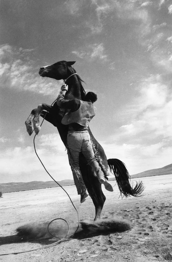 Ernst Haas, Leaping Horse, set of the Misfits. Nevada , 1960