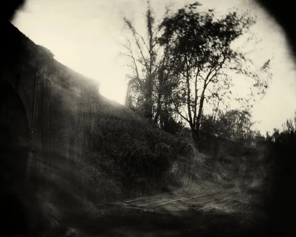 Sally Mann, Georgia Untitled (Vines), 1996