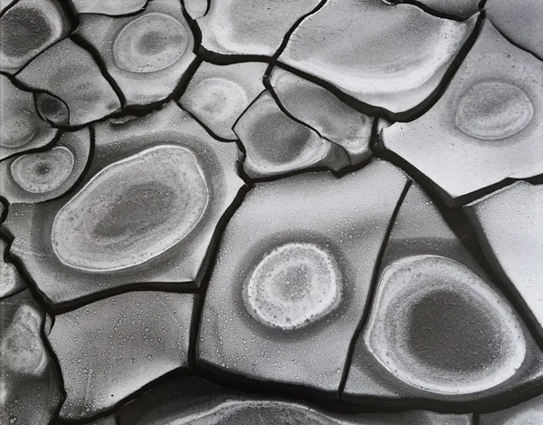 Brett Weston, Mud Cracks Abstraction, 1968