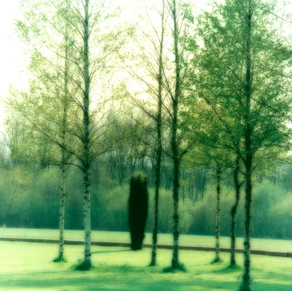 Lynn Geesaman, Somme,France, (4-04-44c-1), 2004