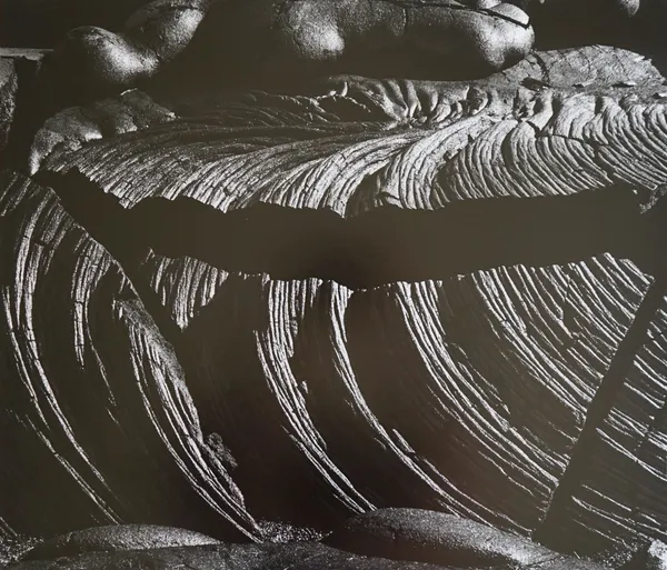 Brett Weston, Untitled