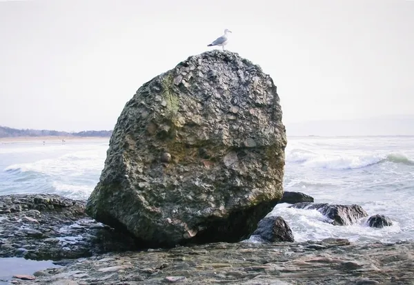 Richard Benson, Middletown, Rhode Island, 2006