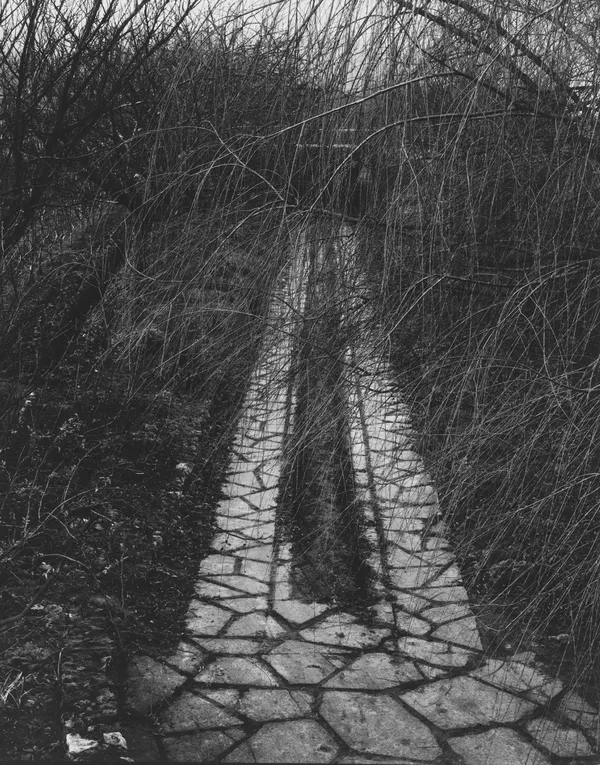Paul Strand, The Driveway, Orgeval, France, 1957
