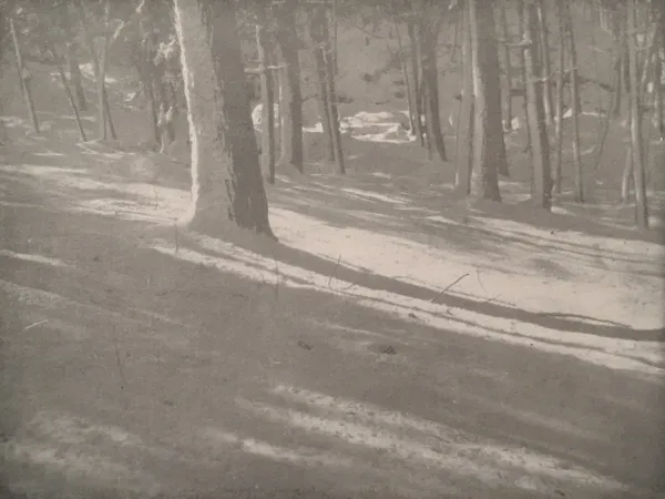 Alvin Langdon Coburn, Winter Shadows, 1903