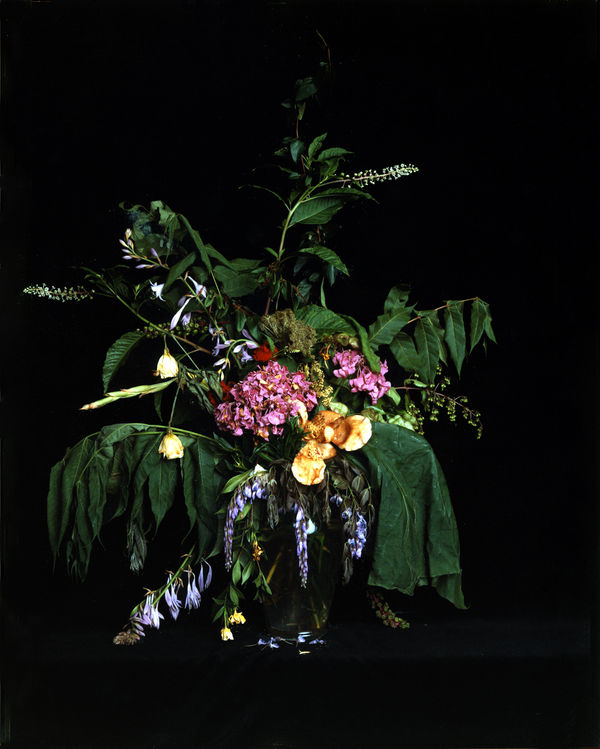 Angela West, Summer Still Life #4, From the series: Nature Morte, 2004