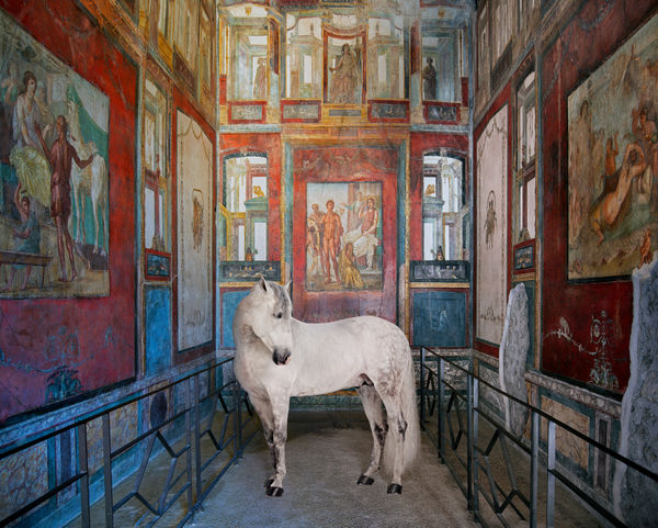 Karen Knorr, Ixion’s Punishment, House of the Vetti, Pompeii, 2024