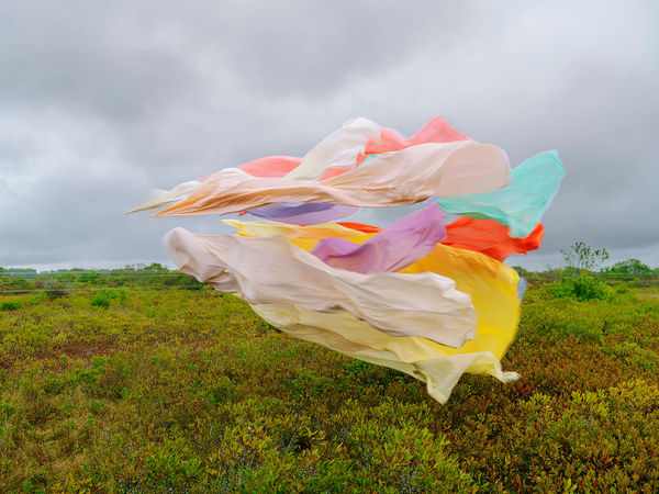 Thomas Jackson, Silk no. 14, Nantucket, Massachusetts, 2025