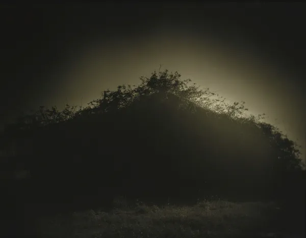 Sally Mann, Untitled (Deep South #39), 1998