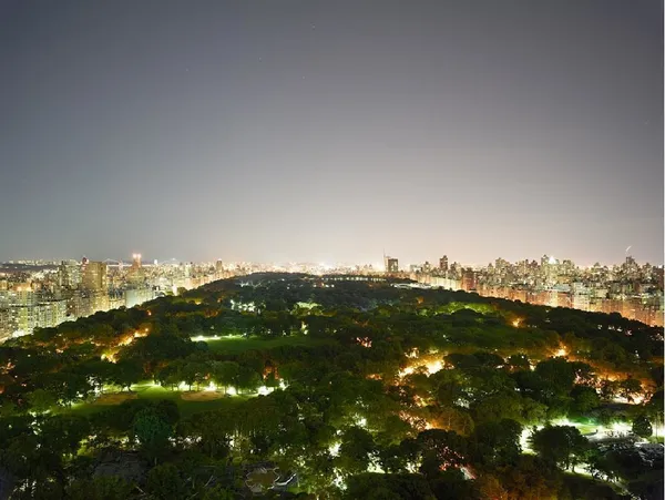 Josef Hoflehner, Central Park II, New York, 2011
