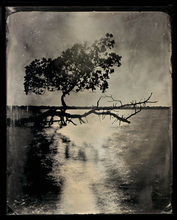 Charlie McCullers & Cecilia Montalvo, Barrier Island, Study 12, 2018