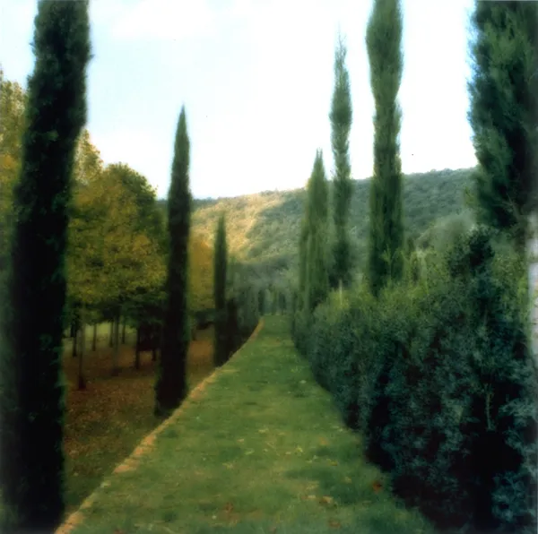 Lynn Geesaman, Villa Cetinale, Italy, 2000