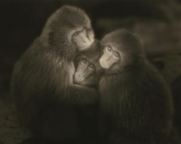 Yamamoto Masao, Kawa=Flow #1640