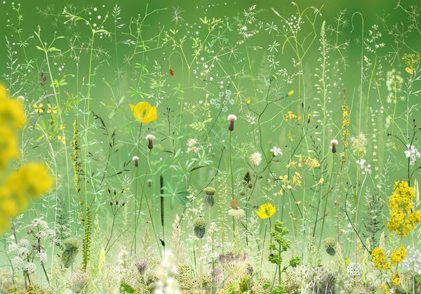 Ruud van Empel, Floresta #12, 2024