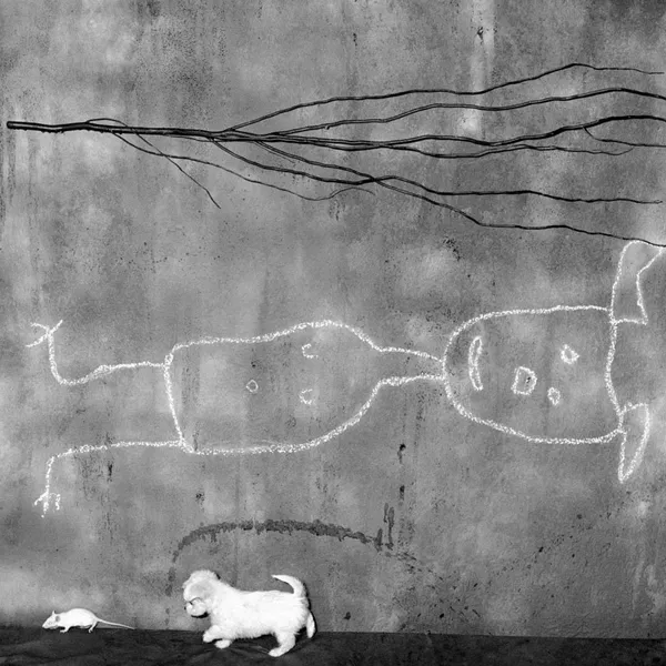 Roger Ballen, Place of the Upside Down, 2004