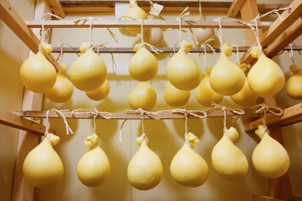 Todd Selby, Caciocavallo at Yoshida Farm, 2011