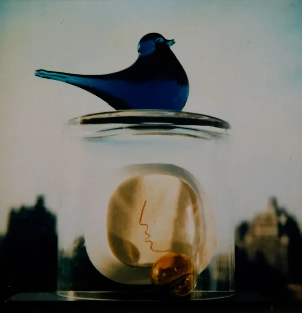 André Kertész, January, 1982