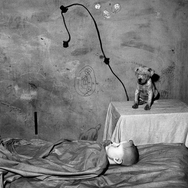 Roger Ballen, Chamber of Enigma, 2003