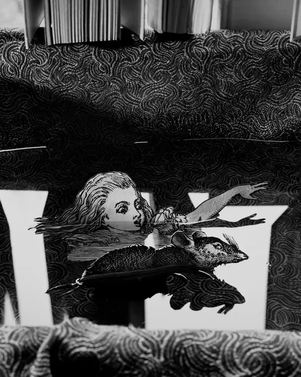 Abelardo Morell, I am Very Tired of Swimming About Here