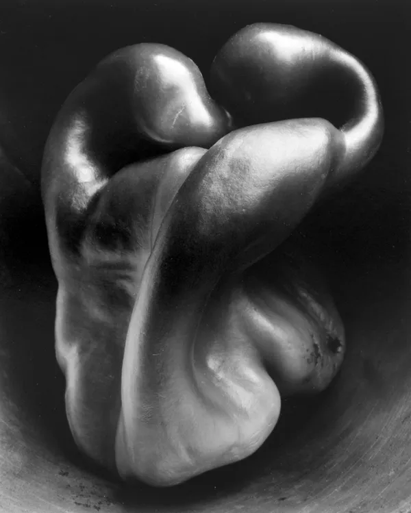 Edward Weston, Pepper No. 30, 1930