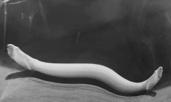 André Kertész, Distortion #46