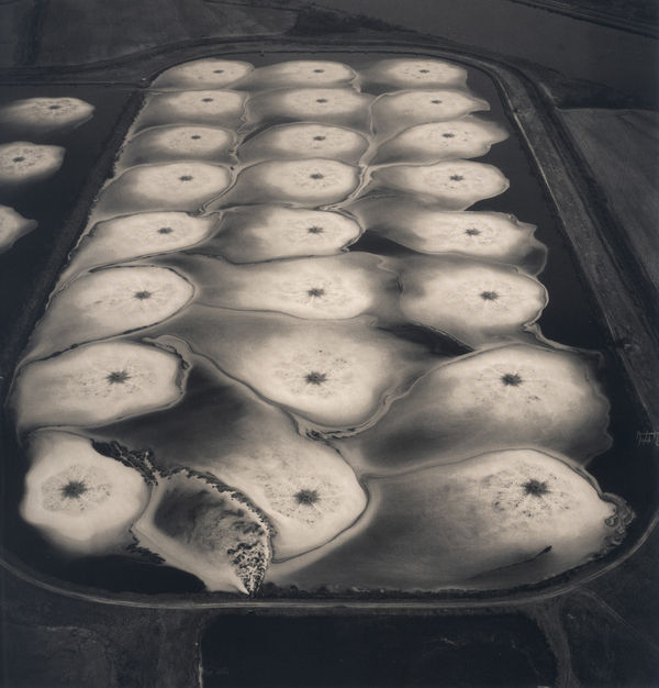 Emmet Gowin, Aeration Pond, Toxic Water Treatment Facility, Pine Bluff, Arkansas, 1989