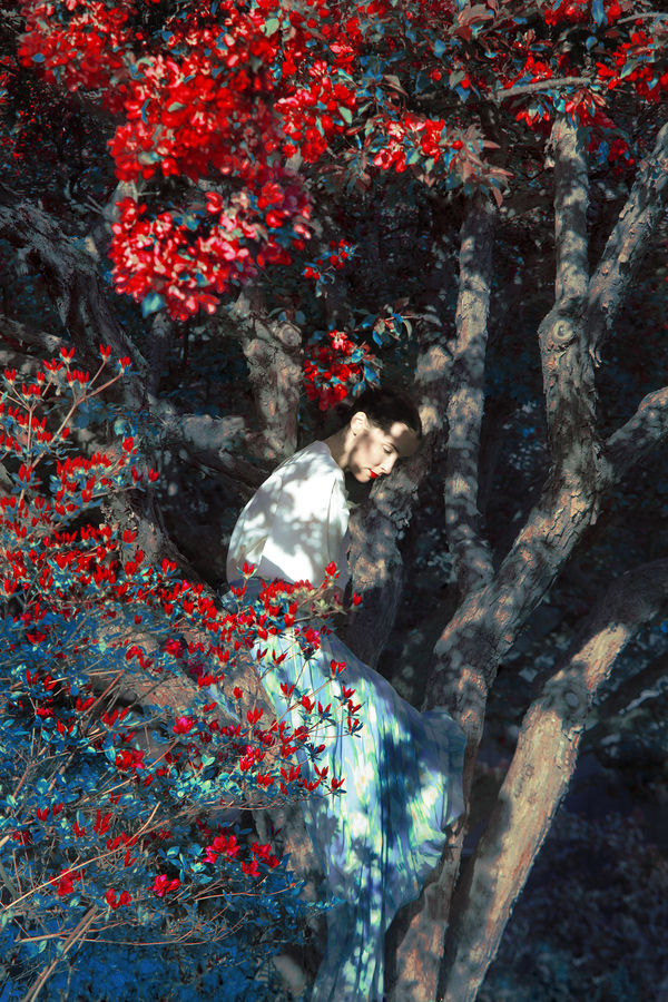 Erik Madigan Heck Brianna sitting in Apple Orchard, The Garden, 2019