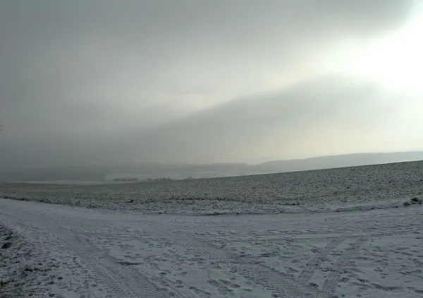 Elton John AIDS Foundation Photography Portfolio One, Thomas Struth: Odenwald, 2006