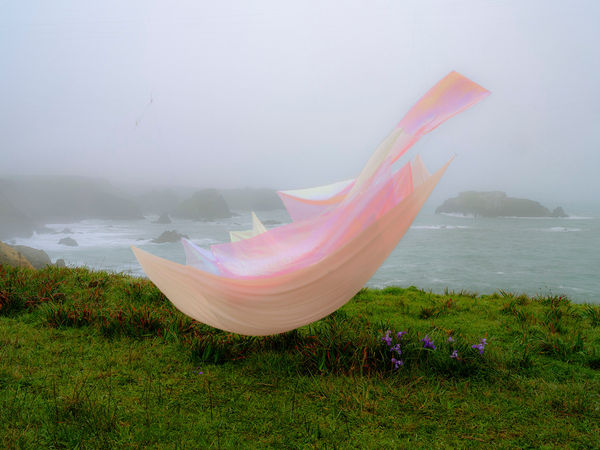 Thomas Jackson, Assorted Fabric no. 2, Fort Bragg, CA, 2025