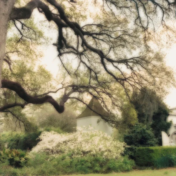 Lynn Geesaman, Houmas House, Louisiana (3-00-14c-3), 2000