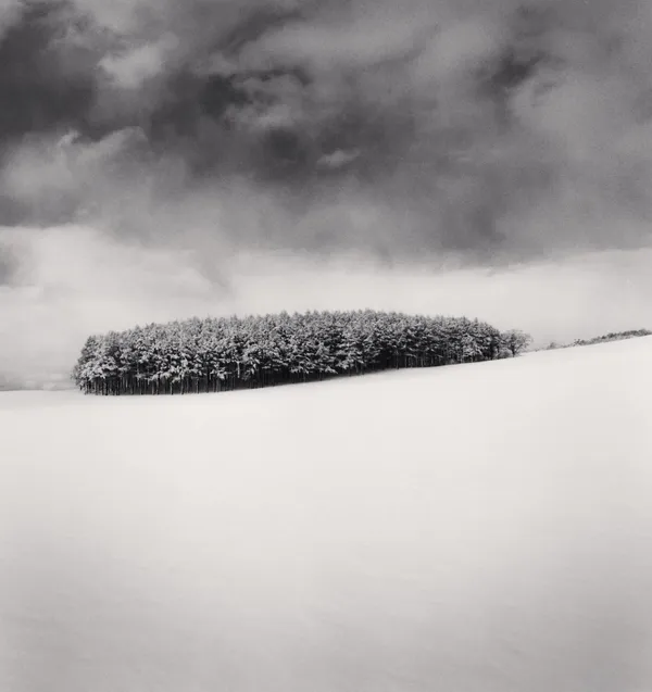 Michael Kenna, White Copse, Study 2, Wakkanai, Hokkaido, Japan, 2004