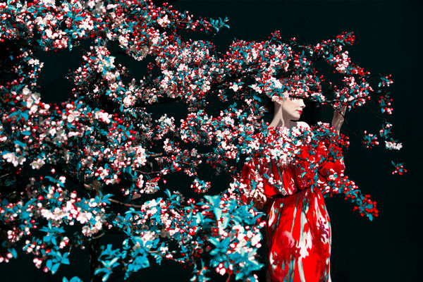 Erik Madigan Heck Untitled, The Garden, 2019