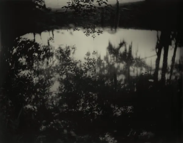 Sally Mann, Deep South, Untitled (Avery Island II), 1998