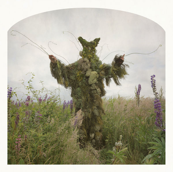 Kahn + Selesnick, King of Weeds, 2012