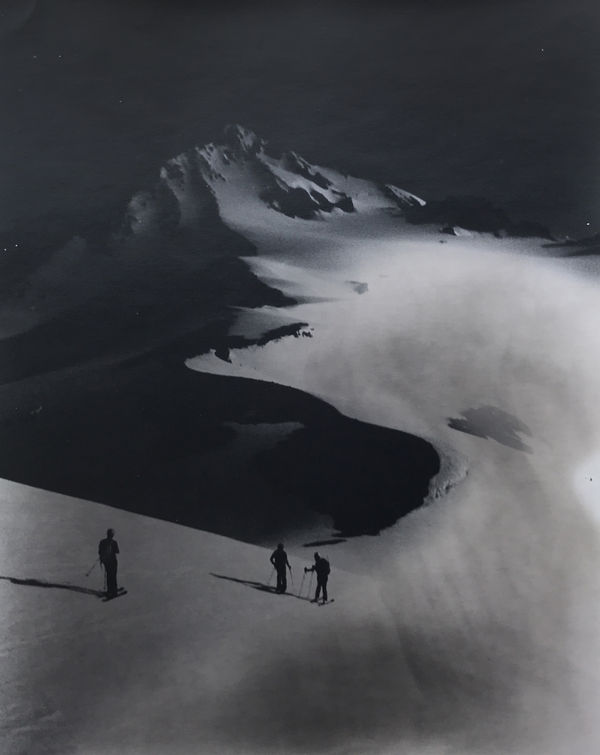 Tommy Nease, Dakobed, 2017