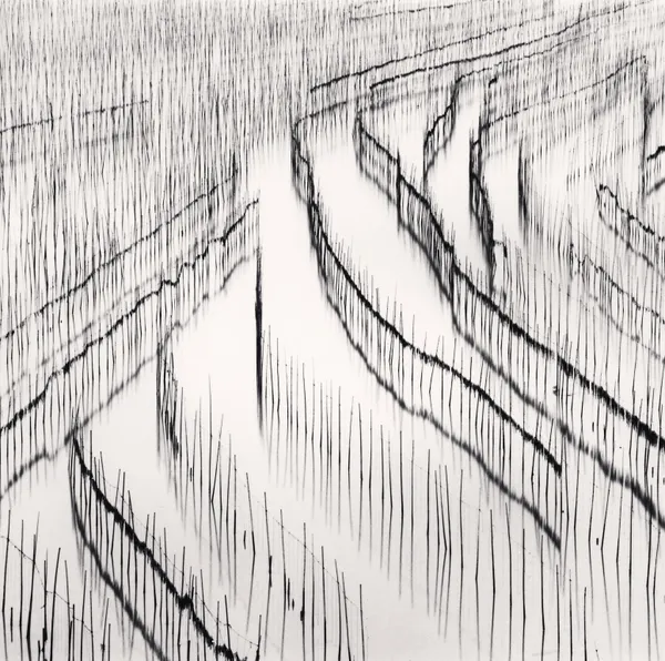 Michael Kenna, Seaweed Farms, Study 3, Xiapu, Fujian, China, 2010