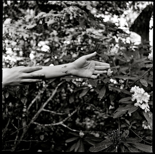 Chris Lowell, 31 Days #55, 2011