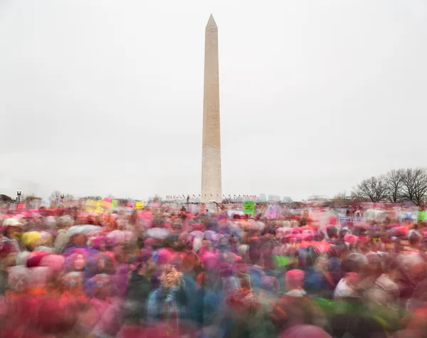 Matthew Pillsbury, Women's March, Saturday 21st, 2017 (TV17008)