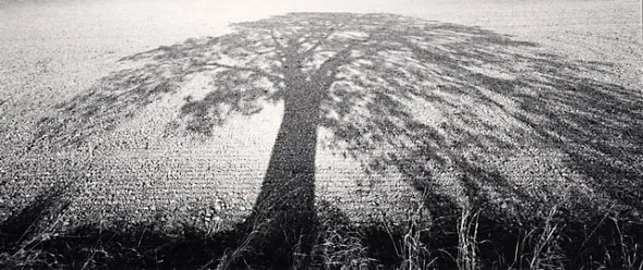 Michael Kenna, Summer Shadows, Nottinghamshire, England, 1998