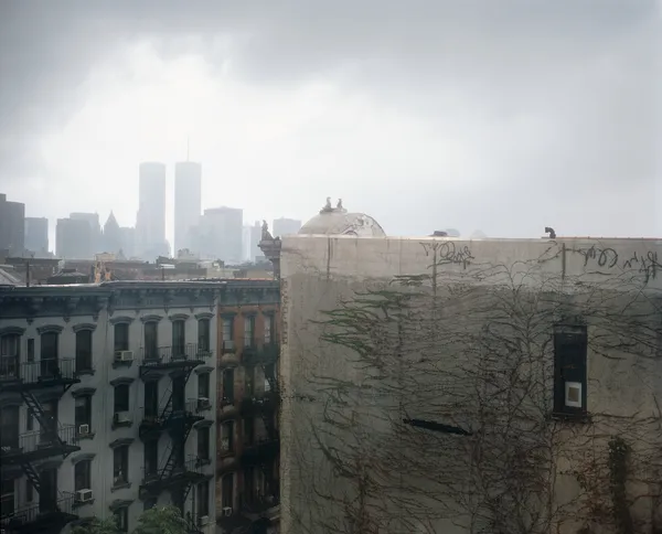 Mitch Epstein, Untitled, New York #5, 1998